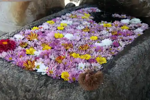 大鏑神社の手水