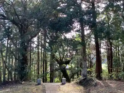高谷神社の自然