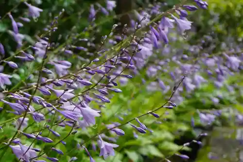 養徳院(京都府)
