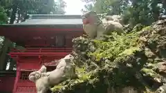 富士山東口本宮 冨士浅間神社の狛犬