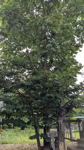 壮瞥神社(北海道)