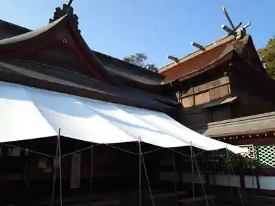 鹿児島神宮の本殿・本堂