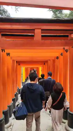 伏見稲荷大社(京都府)