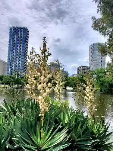 寛永寺不忍池弁天堂の自然