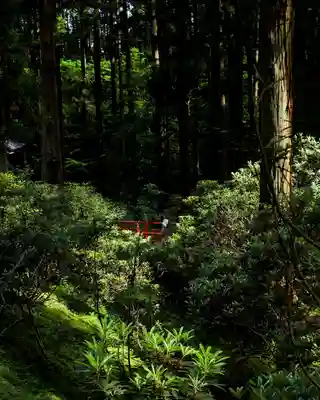 御岩神社(茨城県)