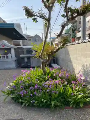 極楽寺(兵庫県)