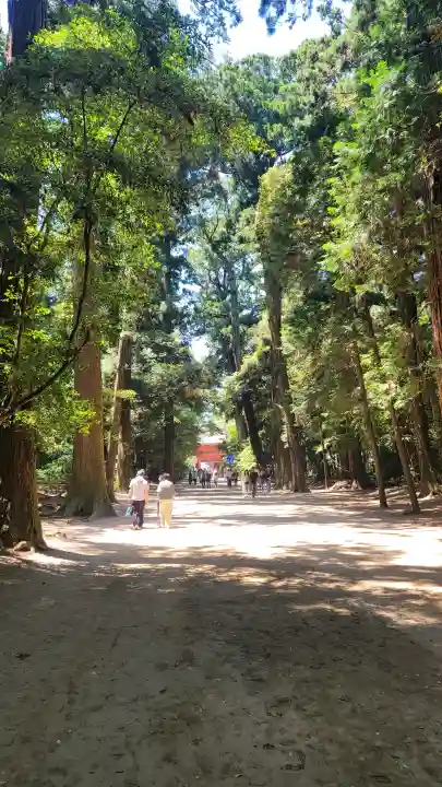 鹿島神宮の{uncategorized: "未分類", other: "その他", undefined: "問題あり", building: "その他建物", grave: "お墓", sacred_gate: "鳥居", guardian: "狛犬", statue: "像", buddha: "仏像", history: "歴史", nature: "自然", garden: "庭園", animal: "動物", pagoda: "塔", temizu: "手水舎", mountain_gate: "山門・神門", sanctuary: "本殿・本堂", subordinate: "末社・摂社", art: "芸術", scenery: "景色", jizo: "地蔵", ema: "絵馬", goshuin: "御朱印", omikuji: "おみくじ", items: "授与品その他", amulet: "お守り", goshuincho: "御朱印帳", eats: "食事", festival: "お祭り", votive_dance: "神楽", shichigosan: "七五三参", wedding: "結婚式", experience: "体験その他", initially: "初詣", around: "周辺", anti_infection: "感染症対策"}