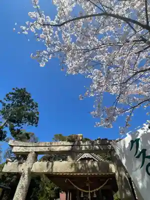 クスの森若宮神社(山口県)
