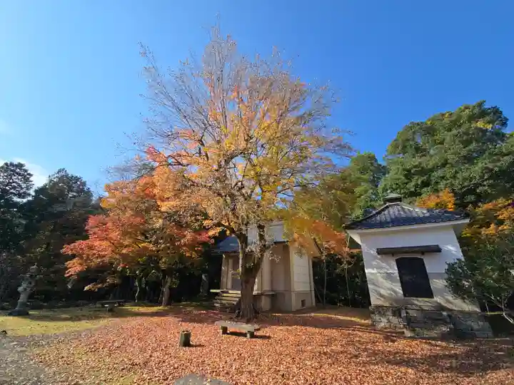 天寧寺(京都府)