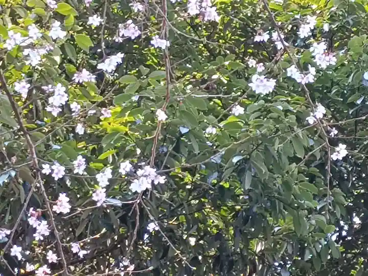 (長良)天神神社(岐阜県)
