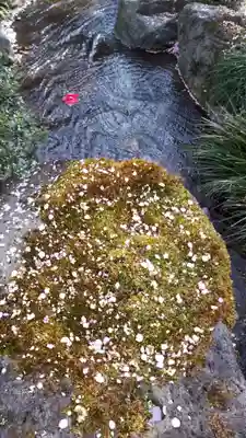 城南宮(京都府)