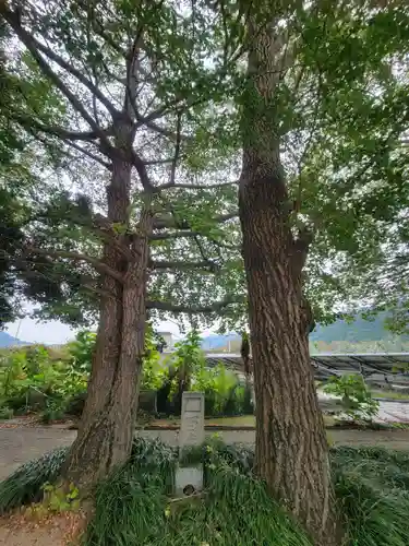 熊野神社(愛媛県)