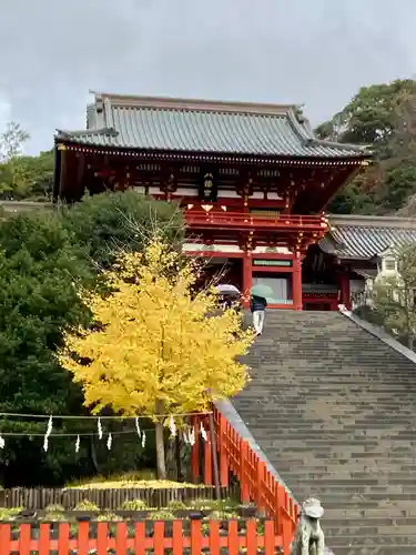 鶴岡八幡宮の山門・神門
