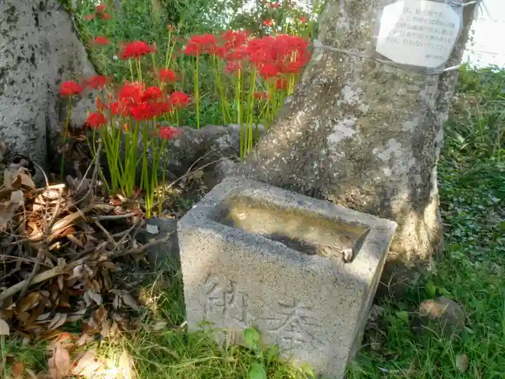 和田塚(神奈川県)