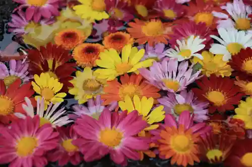 大鏑神社の手水舎