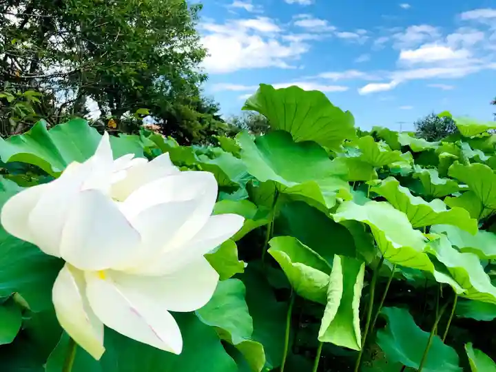 水沼神社の自然