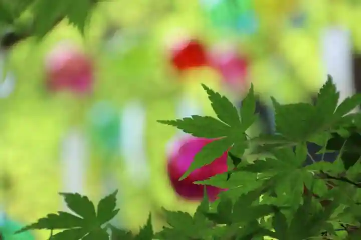 滑川神社 - 仕事と子どもの守り神の授与品その他