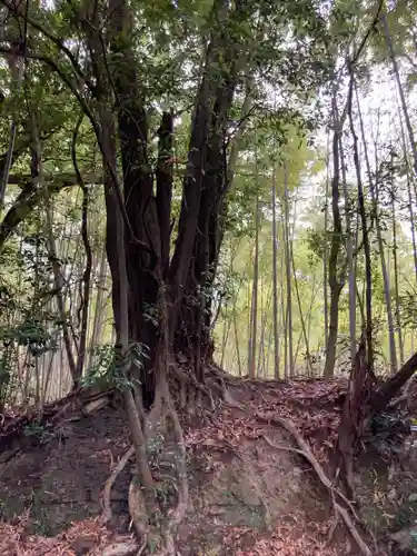 若都王子神社(兵庫県)