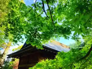 滑川神社 - 仕事と子どもの守り神の自然(2020年05月07日(木) 21時07分58秒投稿)