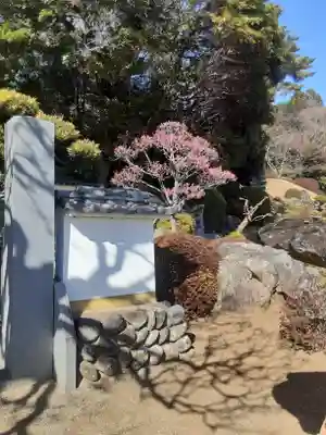 聖天院(埼玉県)