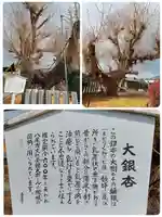 矢作神社の自然