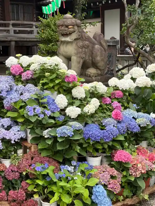 白山神社(東京都)