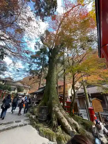貴船神社の自然