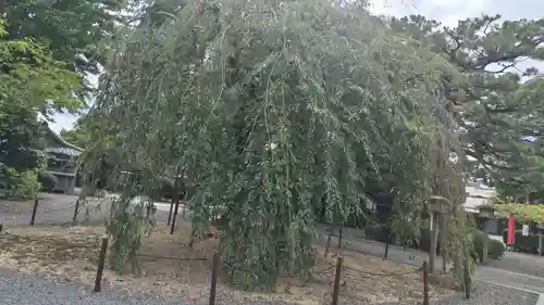 大報恩寺（千本釈迦堂）(京都府)