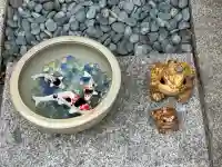 荘厳寺(京都府)