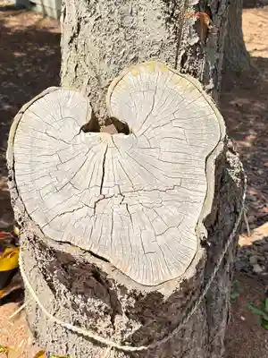 大谷地神社の自然