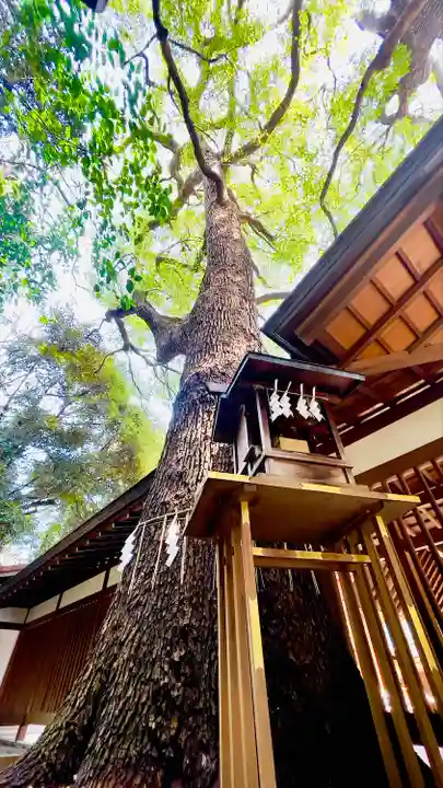 乃木神社の自然