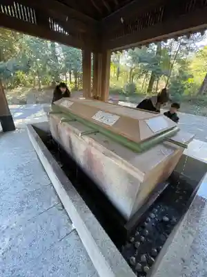 明治神宮(東京都)