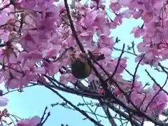 武雄神社(佐賀県)