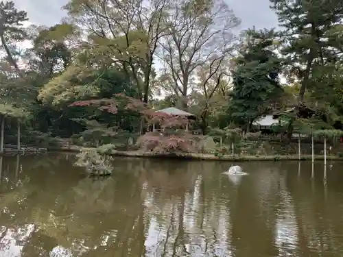 越ヶ谷久伊豆神社の庭園