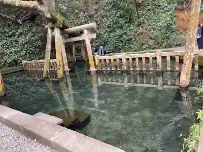 鹿島神宮の{uncategorized: "未分類", other: "その他", undefined: "問題あり", building: "その他建物", grave: "お墓", sacred_gate: "鳥居", guardian: "狛犬", statue: "像", buddha: "仏像", history: "歴史", nature: "自然", garden: "庭園", animal: "動物", pagoda: "塔", temizu: "手水舎", mountain_gate: "山門・神門", sanctuary: "本殿・本堂", subordinate: "末社・摂社", art: "芸術", scenery: "景色", jizo: "地蔵", ema: "絵馬", goshuin: "御朱印", omikuji: "おみくじ", items: "授与品その他", amulet: "お守り", goshuincho: "御朱印帳", eats: "食事", festival: "お祭り", votive_dance: "神楽", shichigosan: "七五三参", wedding: "結婚式", experience: "体験その他", initially: "初詣", around: "周辺", anti_infection: "感染症対策"}