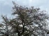 諏訪神社(群馬県)