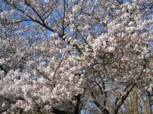 葛原岡神社の自然