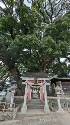 津田八幡神社の末社