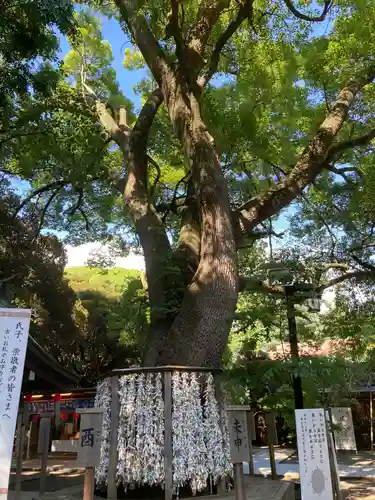 平塚八幡宮(神奈川県)
