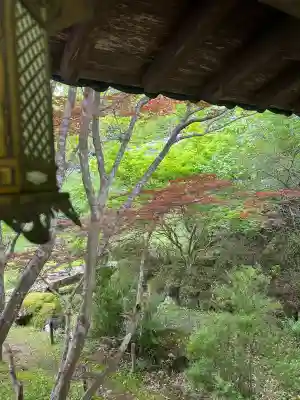 久安寺(大阪府)