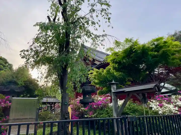 清水観音堂(東京都)