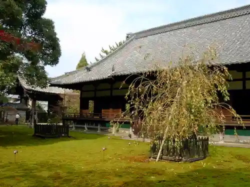 青蓮院門跡の本殿・本堂