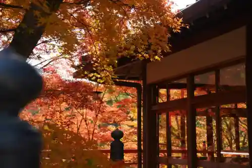 今熊野観音寺(京都府)