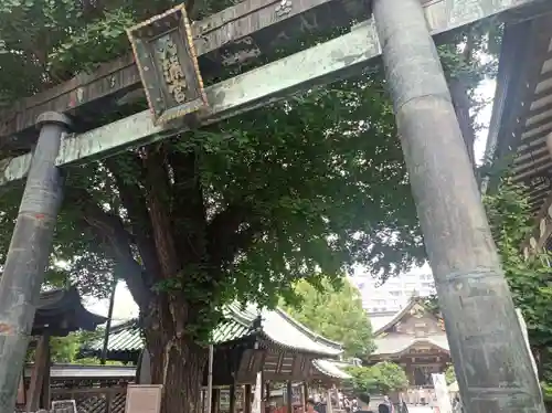 湯島天満宮(東京都)