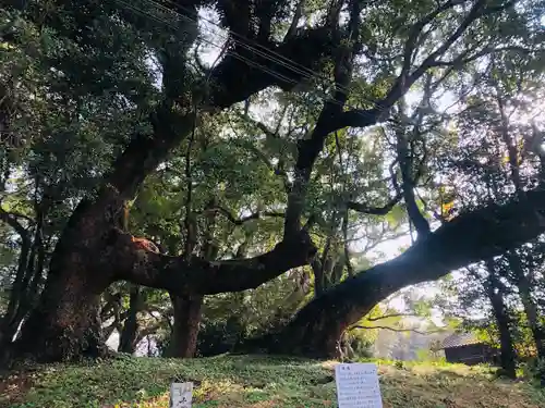 大汝牟遅神社の自然