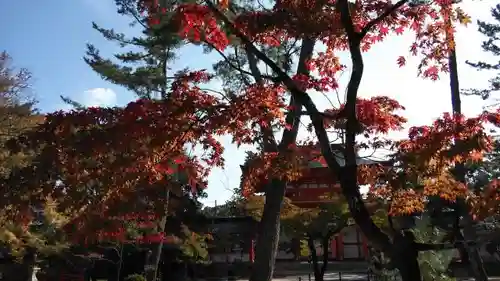 今宮神社の庭園