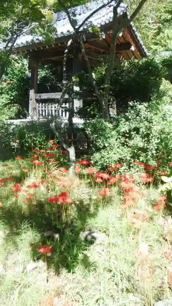 浄光明寺のその他建物