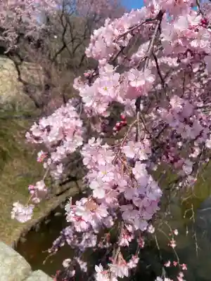 眞田神社の{uncategorized: "未分類", other: "その他", undefined: "問題あり", building: "その他建物", grave: "お墓", sacred_gate: "鳥居", guardian: "狛犬", statue: "像", buddha: "仏像", history: "歴史", nature: "自然", garden: "庭園", animal: "動物", pagoda: "塔", temizu: "手水舎", mountain_gate: "山門・神門", sanctuary: "本殿・本堂", subordinate: "末社・摂社", art: "芸術", scenery: "景色", jizo: "地蔵", ema: "絵馬", goshuin: "御朱印", omikuji: "おみくじ", items: "授与品その他", amulet: "お守り", goshuincho: "御朱印帳", eats: "食事", festival: "お祭り", votive_dance: "神楽", shichigosan: "七五三参", wedding: "結婚式", experience: "体験その他", initially: "初詣", around: "周辺", anti_infection: "感染症対策"}