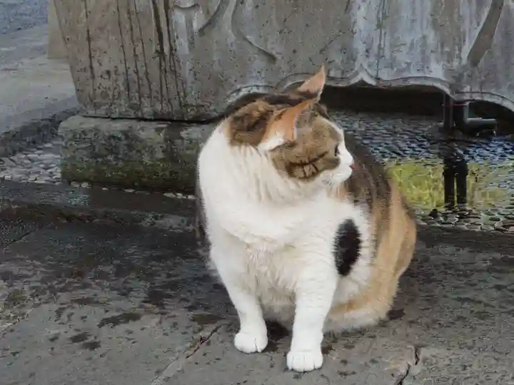 賀茂別雷神社(栃木県)