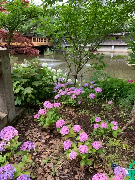生田神社(兵庫県)
